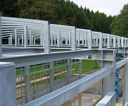 Lockschuppen Bärenstein